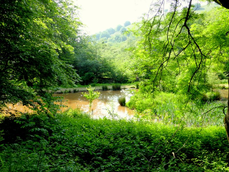Blaen Bran Reservoir, in Blaen Bran Community Forest