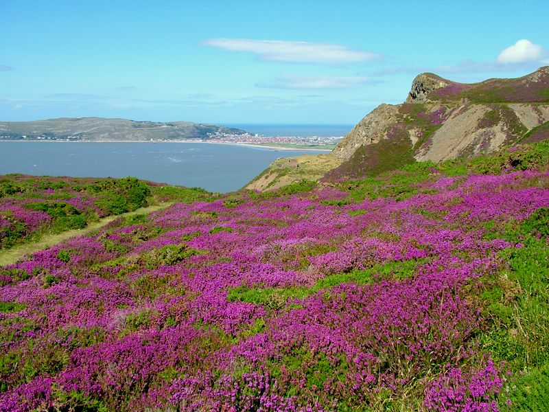 Great Orme from approach to Conwy Mountain