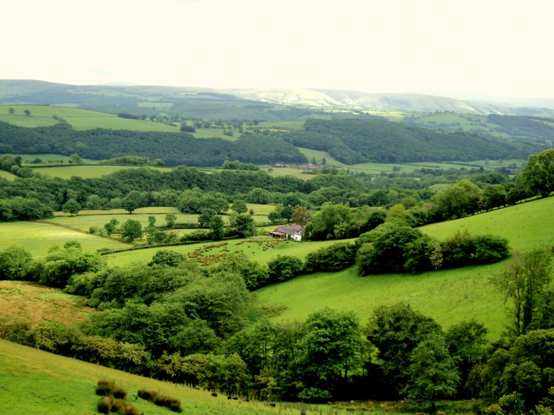 Towy Valley From Hill north of Llandovery