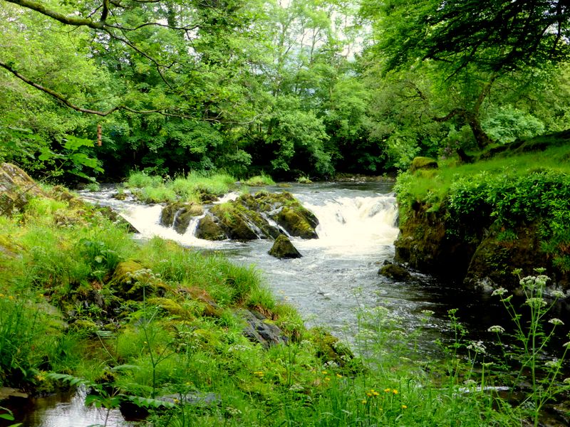 River Dovey near Mallwyd