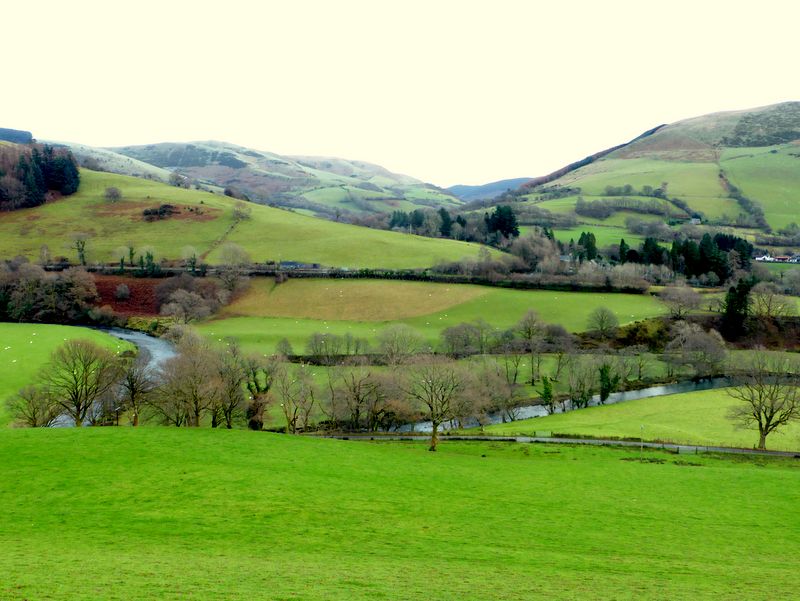 River Dovey near Mallwyd (November)