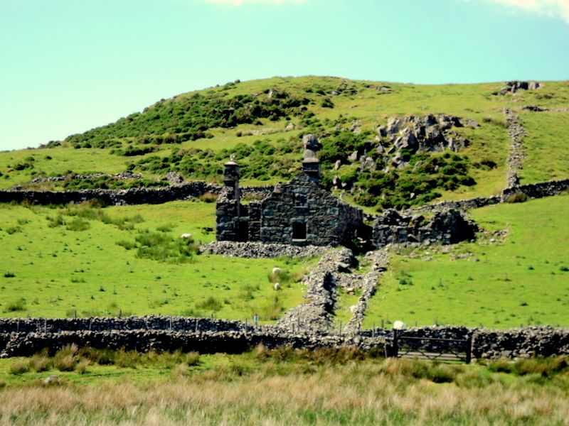 Ruins of Hafotty-fach Farmhouse