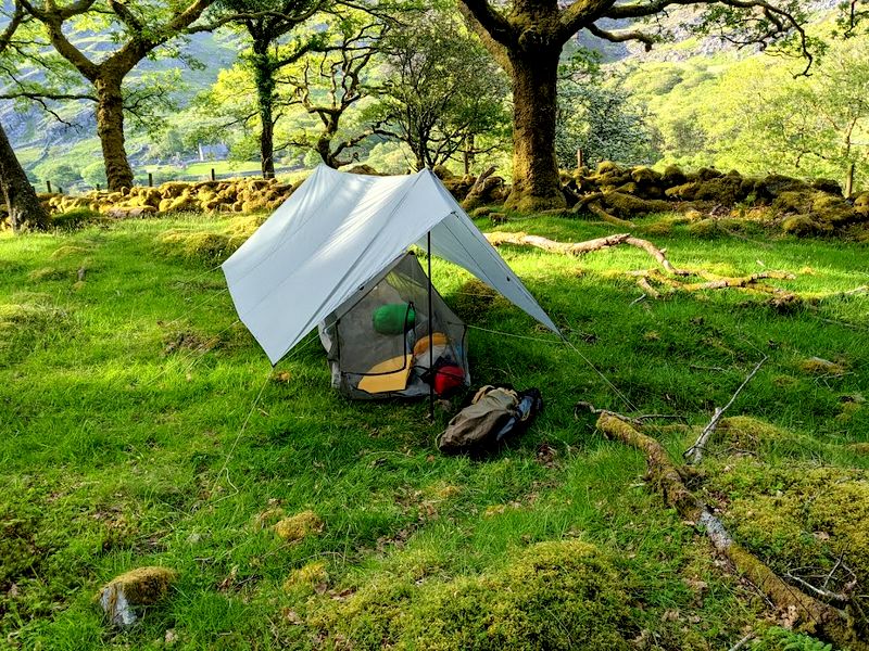 Woodland camp near Cwm Bychan